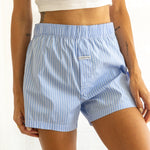 Wall Street Stripe - Ice Blue 3
