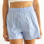 Wall Street Stripe - Ice Blue 2
