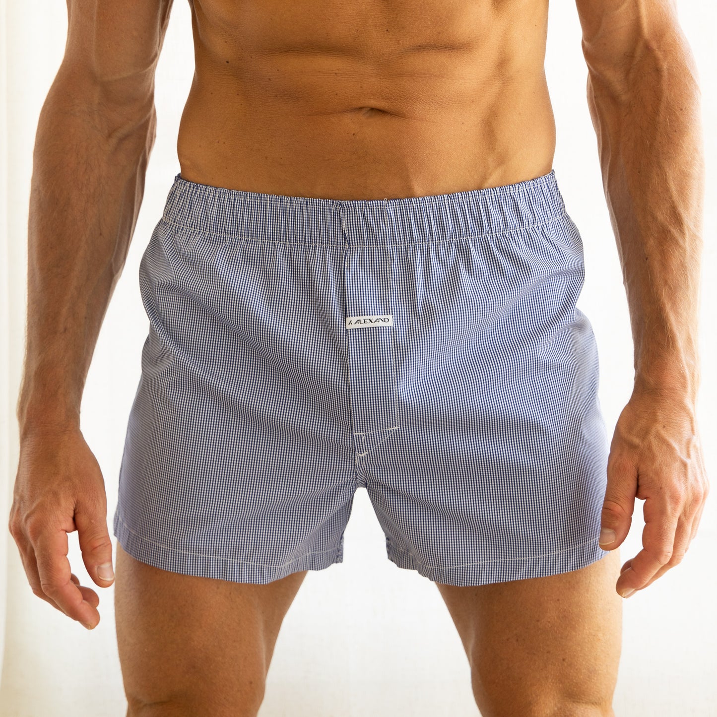 Mini Check Plaid - Royal Blue